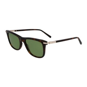 Ochelari de soare barbati Ferragamo SF2028S 242