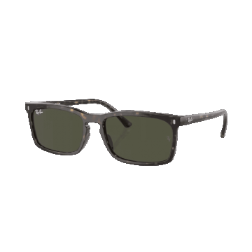 Ray-Ban RB4435 902/31