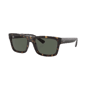Ray-Ban Warren RB4396 135971