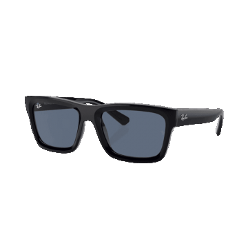 Ray-Ban Warren RB4396 667780