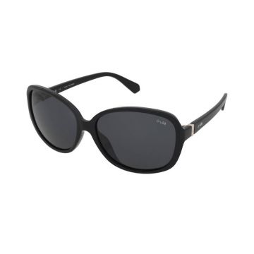 Crullé Gleeful C5780 C2