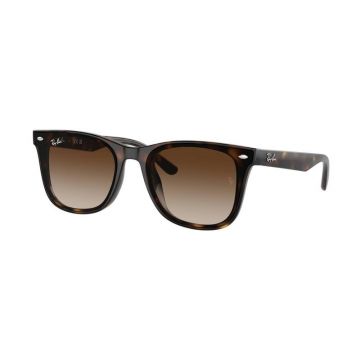 Ochelari de soare Ray-Ban RB4420 710/13