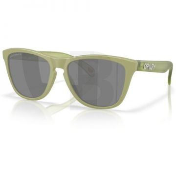 Ochelari de soare OAKLEY Oakley Frogskins OO9013 9013M2 55