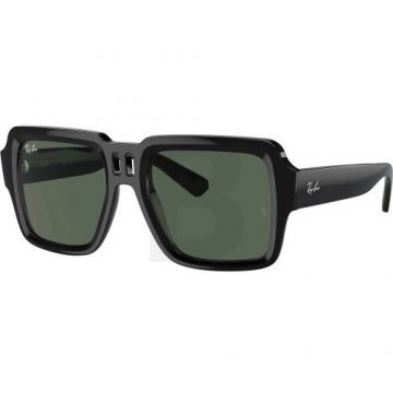 Ochelari de soare Ray-Ban Ray-Ban RB4408 667771 54