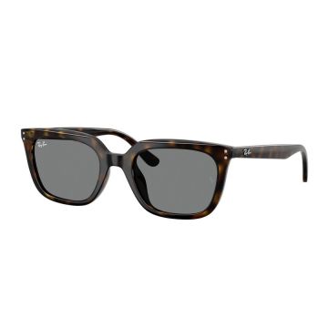 Ochelari de soare unisex Ray-Ban RB4439D 710/87
