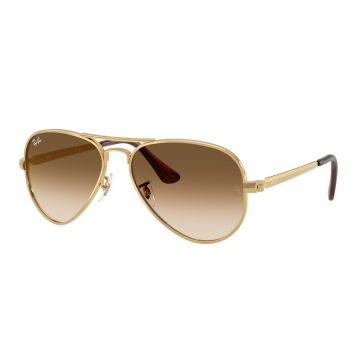 Ochelari de soare unisex Ray-Ban RB3925 001/51