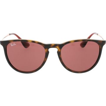 Ray-Ban RB4171 6391/75 54 ERIKA