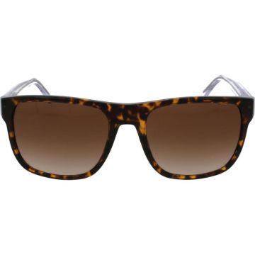 Emporio Armani EA4163 5879/13 56