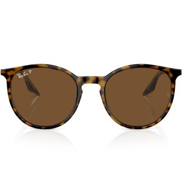 Ray-Ban RB2204 1393/57 54