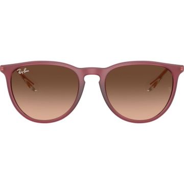 Ray-Ban RB4171 6815/A5 54 ERIKA