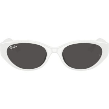 Ray-Ban RB4457D 6772/87 55
