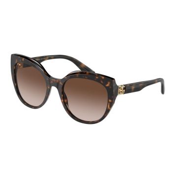 Dolce&Gabbana DG4392 502/13 56