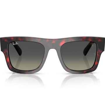 Ray-Ban RB2217M F70511 53