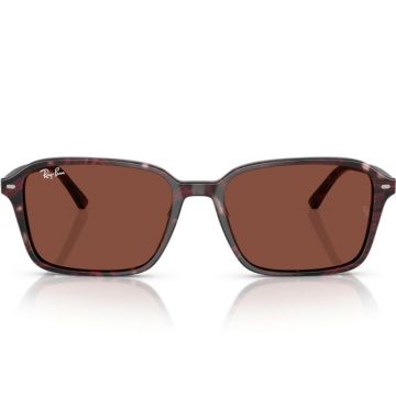 Ray-Ban RB2231 1416C5 56 RAIMOND