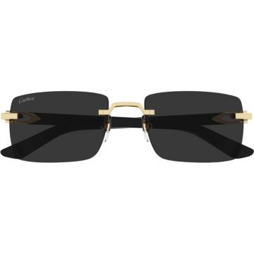 Cartier CT0579S 005 57