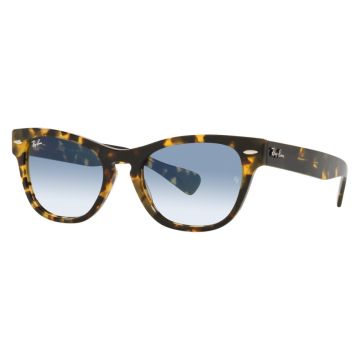 Ray-Ban RB2201 1332/3F 54 LARAMIE