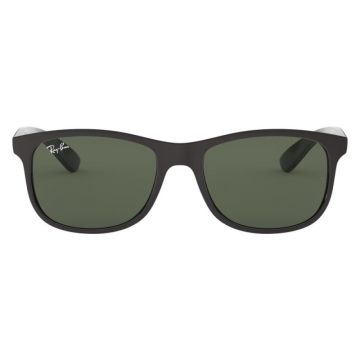 Ray-Ban RB4202 6069/71 55 ANDY