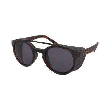 Ochelari de soare Alpina Glace Havana Matt/Black