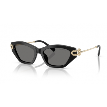 Ochelari de soare Tiffany&Co TF4231U 800181 Polarizati - Default Title