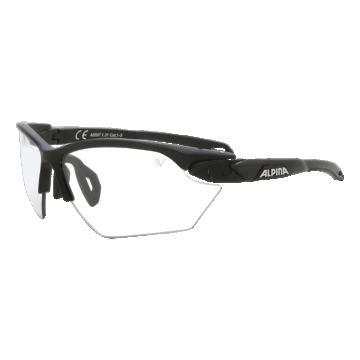 Ochelari de soare Alpina Overview Black Transparent