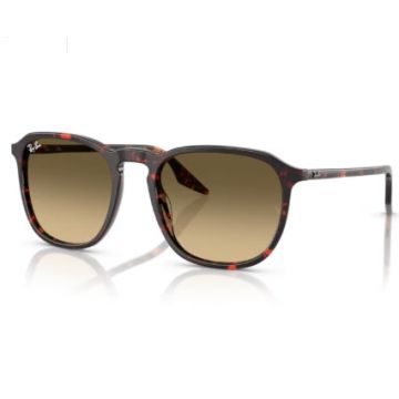 Ochelari de soare Ray-Ban RB2203 14290A - 55