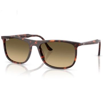 Ochelari de soare Ray-Ban RB2216 14290A - 61
