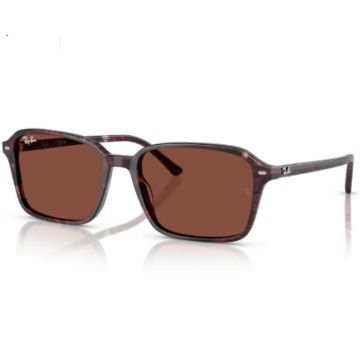 Ochelari de soare Ray-Ban RB2231 1416C5 - 58