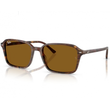 Ochelari de soare Ray-Ban RB2231 141833 - 56