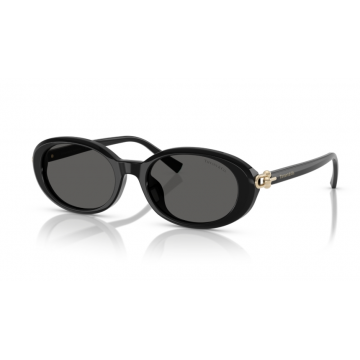 Ochelari de soare Tiffany&Co TF4242D 8361S4 - Default Title