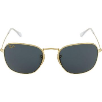 Ray-Ban RB3857 9196/R5 Frank