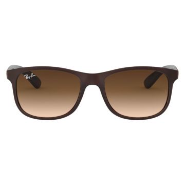 Ray-Ban RB4202 6073/13 Andy