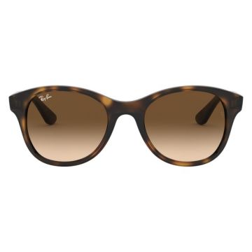 Ray-Ban RB4203 710/13