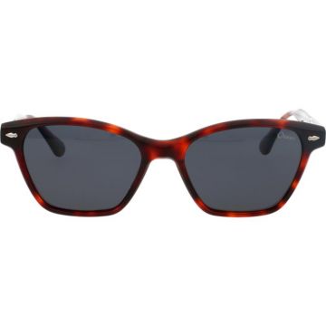 Ocean 1724S C4 Ocean 1724S C4