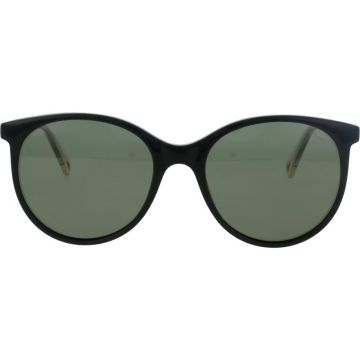 Ocean FG6004 C1