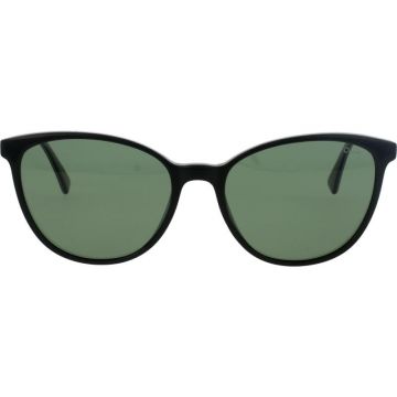 Ocean LS8081 C1 Ocean LS8081 C1