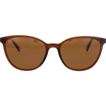 Ocean LS8081 C4 Ocean LS8081 C4