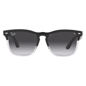 Ray-Ban RB4487 6630/8G Steve