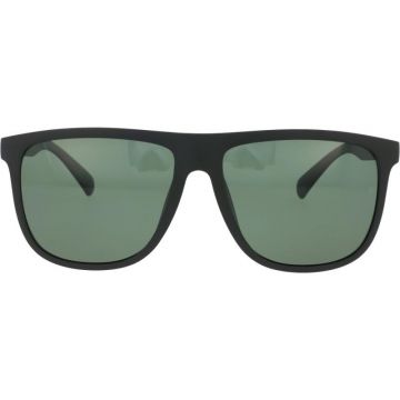Avanglion AVS7024 310-4P