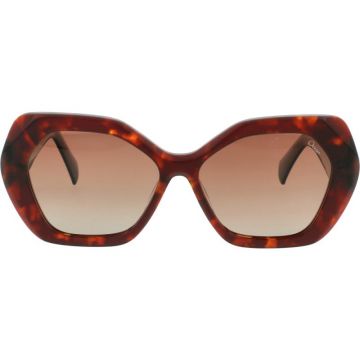 Ocean YD1075 C3