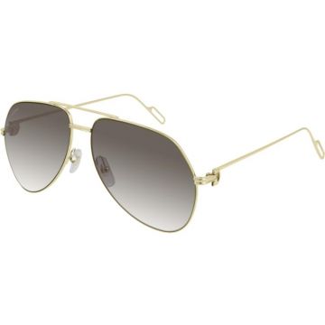 Cartier CT0110S 015