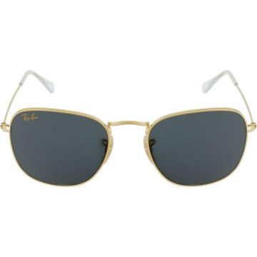 Ray-Ban RB3857 9196/R5 Frank