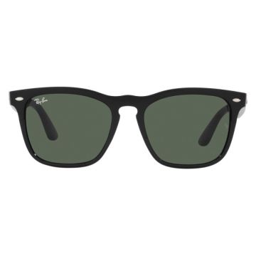 Ray-Ban RB4487 6629/71 Steve