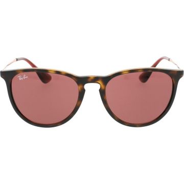 Ray-Ban RB4171 6391/75 Erika