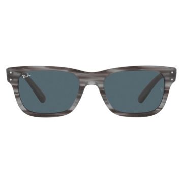 Ray-Ban RB2283 1314/R5 Mr Burbank