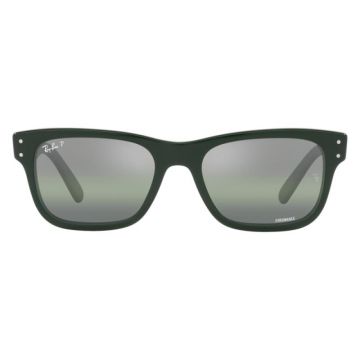 Ray-Ban RB2283 6659/G4 Mr Burbank