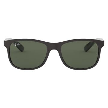 Ray-Ban RB4202 6069/71 Andy