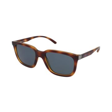 Ochelari de soare Arnette Plaka AN4306 27702V