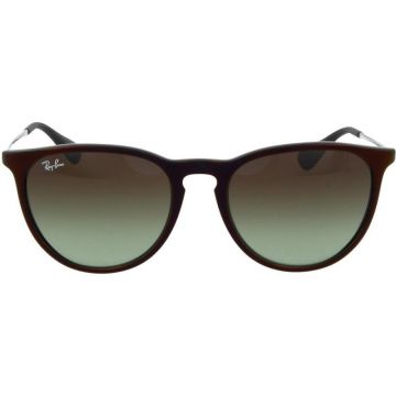 Ray-Ban RB4171 6316/E8 Erika