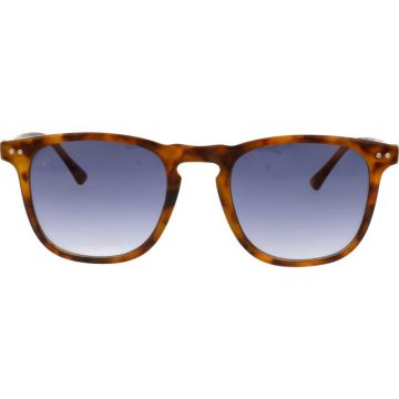 Ochelari de soare unisex Life LFS2374 C4